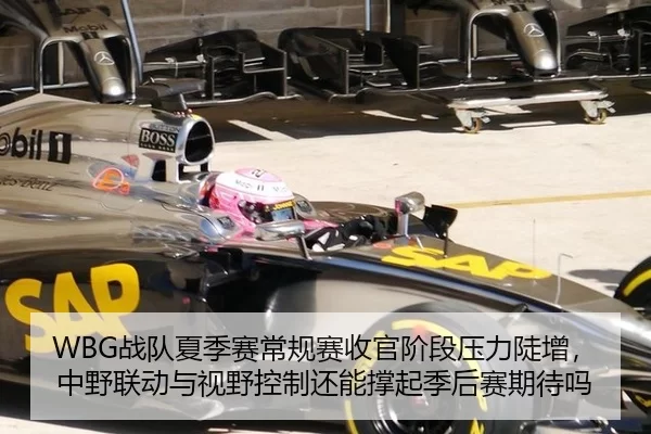 WBG战队夏季赛常规赛收官阶段压力陡增，中野联动与视野控制还能撑起季后赛期待吗